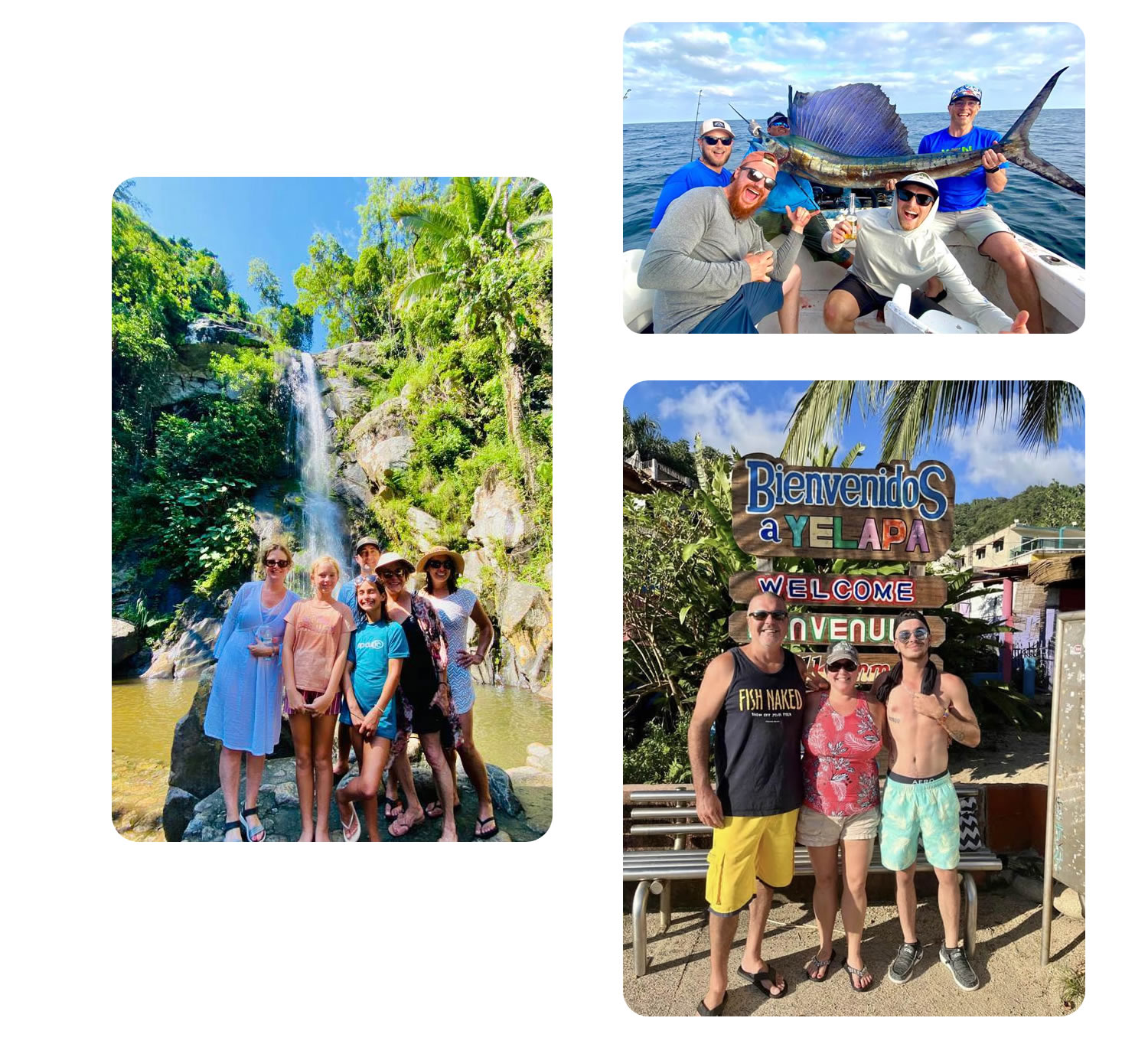 Servicios de Tours Viking Fisghing Charters Puerto Vallarta