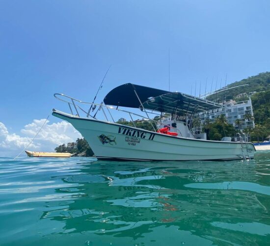 Boat Viking II